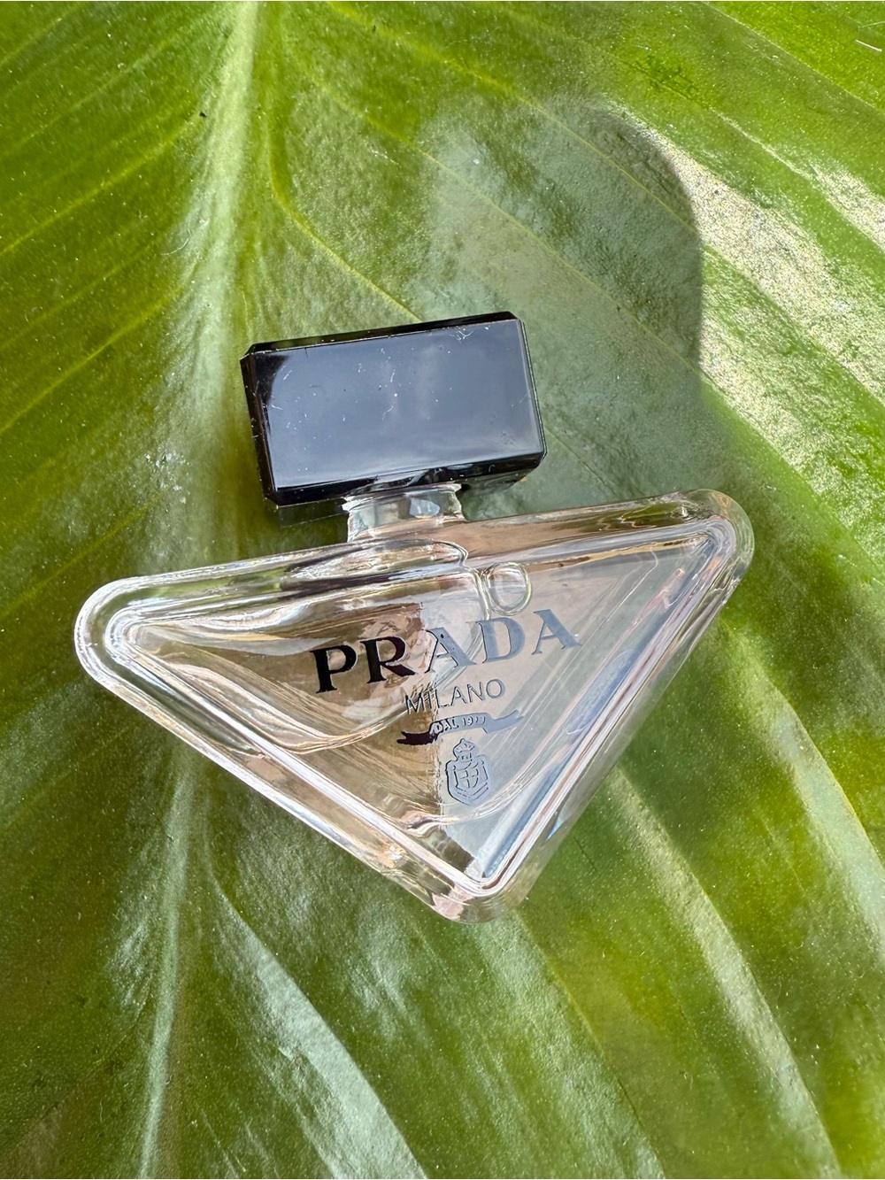 Prada Mini